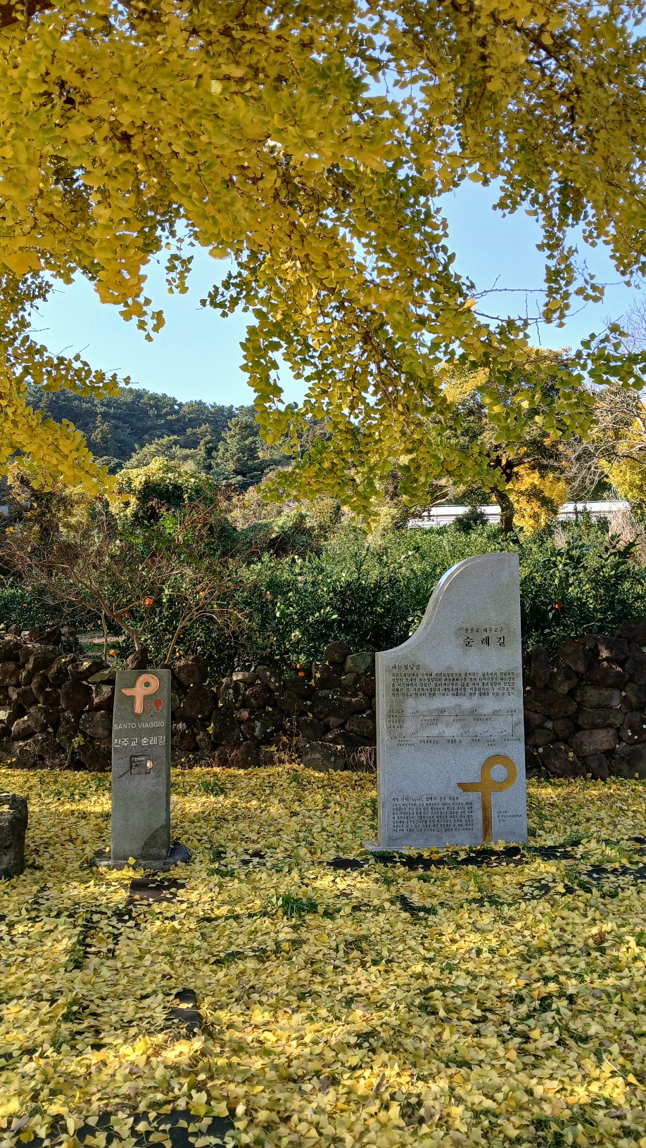 하논성지 세로 이미지 3