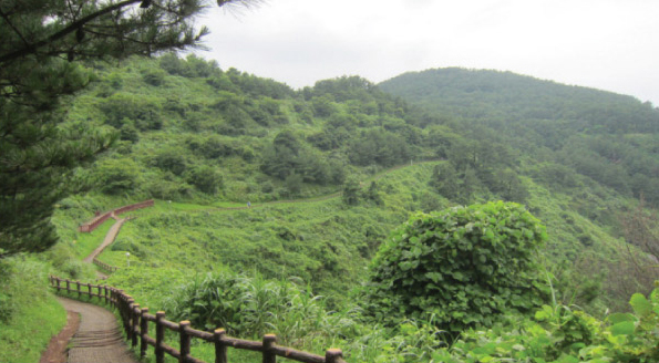 제주시 최고의 산책로인 장수산책로가 둘레를 감싸고 있는 곳 별도봉 050071